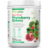 biophix Phytoberry Greens Superfood Powder 10.6 oz - Natural Berry Flavor Greens Vegetables Fruits Fiber Probiotics Smoothie Shake Nutrition Drink