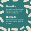 Webber Naturals Probiotic 30 Billion, 8 Probiotic Strains, 30-Capsules