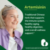 BESTVITE Artemisinin 100mg Per Capsule (120 Vegetarian Capsules) - No Stearates - No Flow Agents