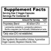 Evlution Nutrition Probiotic - 40 Billion CFU - Supports Digestive + Immune Health - Probiotic Supplement for Men & Women - Vegetarian, Gluten Free &