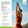 Terry Naturally Boswellia Plus Frankincense Oil - Joint Support Supplement to Support Mobility & Joint Comfort - Support Cellular Health with Boswell