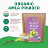 Organic Amla Powder 1.25 LB (20oz) - Pure, Lab Tested, Gluten Free, Non-GMO, Pure Amalaki Powder From India, Vitamin C, Bulk Bag, 100% Raw & Natural