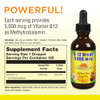 Nature's Life B-12 Drops, Methlycobalamin 4 oz (2 Fl Oz (Pack of 1))