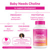 Pink Stork Choline - 550 mg Choline Bitartrate from VitaCholine for Pregnant + Postpartum Moms - Prenatal Vitamin for Fetal Cognitive Health + Breast