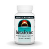 Source Naturals MegaFolinic, Bioactive Form of Folic Acid*, 800 mcg - 240 Tablets