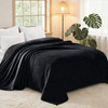 Exclusivo Mezcla Fleece Blankets Queen Size for Bed, Super Soft and Warm, All Season, Cozy, Plush, Lightweight, 90x90 Inches, Black