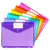 Tamaki 6 Pack Binder Pocket, Plastic Folders with Label, Binder Organizer, Binder Dividers with Pockets, Letter Size, Assorted Colors