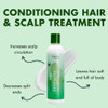 EDEN BodyWorks Peppermint Tea Tree Conditioner | 8 oz | Refresh & Soothe Scalp, Moisturize & Detangle Hair - Packaging May Vary