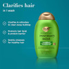 OGX Clarifying Strength + Rosemary Mint Shampoo, Clarifying Shampoo for Oily Hair Visibly Helps Remove Oil & Residue to Clear Away Buildup, Sulfate-F