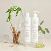 INNERSENSE Organic Beauty - Hair Renew Soothing Conditioner | Non-Toxic, Cruelty-Free, Clean Haircare (10 fl oz | 295 mL)