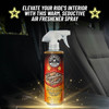 Chemical Guys AIR_069_16 Signature Scent Premium Air Freshener and Odor Eliminator, Smell of Success (Great for Cars, Trucks, SUVs, RVs, Home, Office