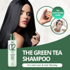 AMOS PROFESSIONAL The Green Tea Shampoo Moisturizing [For Normal/Dry Scalp] 17.6oz (500g) | Anti-Thinning and Anti- Hair Loss Shampoo for Hair Growth