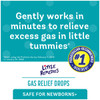 Little Remedies Gas Relief Drops, Natural Berry Flavor, Safe for Newborns 1.0 Fl Oz (Pack of 3)