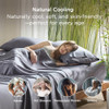 Bedsure Pillow Cases Queen, Cooling Pillow Cases, Rayon Derived from Bamboo Dark Grey Pillowcases Queen Size Set of 2, PureWoven & Soft Bedding Pillo