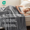 Bedsure GentleSoft Fleece Bed Blankets Queen Size Grey - Soft Warm Spring Blanket Lightweight Cozy Anti-Static Microfiber, Room Home Decor Gifts for