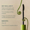 Well People Expressionist Curling Mascara, Curved Brush and Weightless Formula Lift, Separate and Nourish Lashes with Olive and Jojoba Oils, Smudge-R