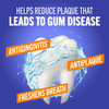TheraBreath Healthy Gums Oral Rinse, Antigingivitis, Clean Mint Flavor, Dentist Formulated to Help Prevent Gingivitis and Support Gum Health, Alcohol