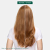 Biolage Color Last Shampoo - For Color-Treated Hair, Nourishes, Strengthens, Hydrates and Adds Shine, Soybean Oil & Stearic Acid, Paraben & Mineral O