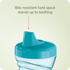 NUK Fun Grips Hard Spout Sippy Cup 10 oz.