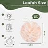 Yolaist Loofah Sponge 4 Pack, Exfoliating Body Scrubber for Shower, Soft Bath Sponges with Hanging Loop, 60G Gentle Loofah for Women Men (Pastel Colo