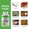 Paradise Herbs Earth's Blend Once Daily Multivitamin for Men, No Iron, 48