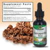 Nature's Answer Alcohol-Free Sarsaparilla Root Liquid
