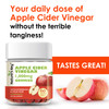 Nature's Key Apple Cider Vinegar Gummies -1000mg 60 Count, for Weight Loss