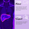 VIDAVITE Liver Cleanse Detox & Repair Gummies