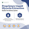 Hydrocin - Advanced Diuretic Water Retention Support Supplement