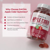 Premium Apple Cider Vinegar Gummies