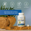 Palmara Health L-Lysine + Monolaurin 600mg 1:1 Ratio, 1 Pack, 100 Capsules