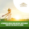 AYURFOREST Wheatgrass Tablets Herbal Supplements 120 Count 500 mg