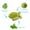 Body Deodorizing Supplement, Internal Body Deodorant Chlorophyll Capsules