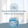 SMELLS BEGONE 12 oz Odor Eliminator Gel - Air Freshener