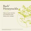 Bach Original Flower Remedies, Honeysuckle - Embrace The Now