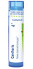 Boiron Cantharis 6C Homeopathic Medicine for Blisters with Burning Pain