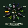 Lagunamoon Essential Oils Aromatherapy Set