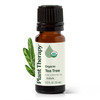 Plant Therapy Organic Tea Tree Oil (Melaleuca) 100% Pure, USDA Certified