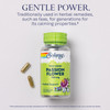 SOLARAY Passion Flower 700 mg Whole Aerial - Soothing Herbal Support