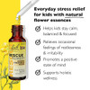 Bach RESCUE REMEDY KIDS Dropper 10mL, Natural Stress Relief, Homeopathic Flower