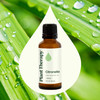 Plant Therapy Citronella Essential Oil 30 mL (1 oz) 100% Pure, Undiluted