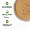 Banyan Botanicals Haritaki Powder - Organic Terminalia Chebula