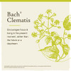 Bach Original Flower Remedies, Clematis - Have Focus