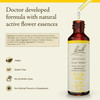 Bach Original Flower Remedies, Gentian - Accept Setbacks