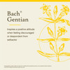 Bach Original Flower Remedies, Gentian - Accept Setbacks