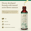Bach Original Flower Remedies, Walnut - Adapt to Change