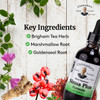 Christopher's Original Formulas Sinus Plus, 2 oz Liquid