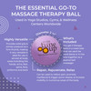 YOGA TUNE UP Therapy Balls in Tote by Tune Up Fitness