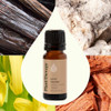 Plant Therapy Love Vanilla Essential Oil Blend, 10 mL (1/3 oz), 100% Pure