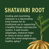 Banyan Botanicals Organic Shatavari Tablets